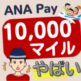 ANA Pay 10,000マイル キャンペーン apple pay 高還元ルート